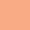 رنگ هایلایتر light Warm Peach